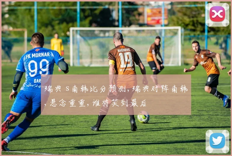 瑞典 s南韩比分预测,瑞典对阵南韩,悬念重重,谁将笑到最后